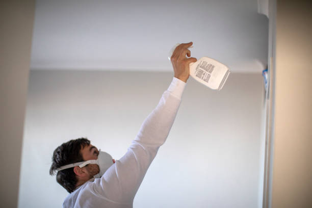 Best Black Mold Removal  in Winnemucca, NV